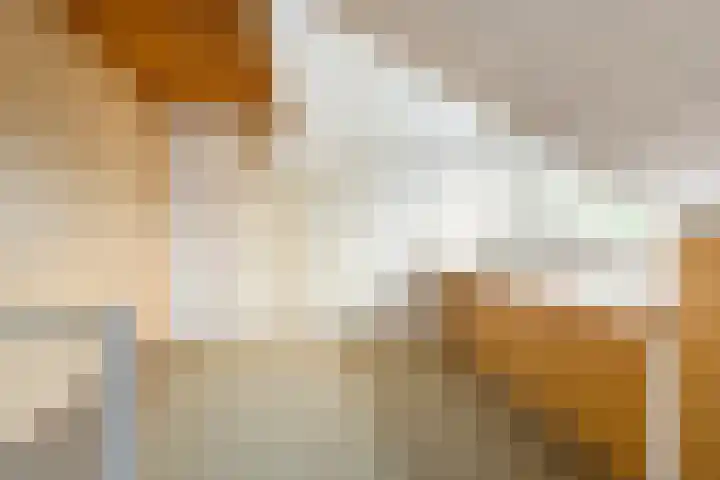 Scheerderhof 22 Helmond thumbnail 19
