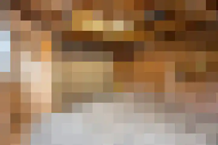 Scheerderhof 22 Helmond thumbnail 22