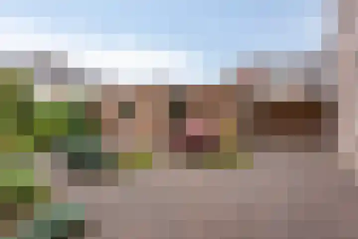 Scheerderhof 22 Helmond thumbnail 23