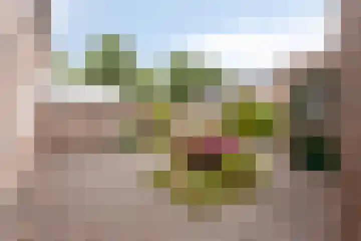 Scheerderhof 22 Helmond thumbnail 24