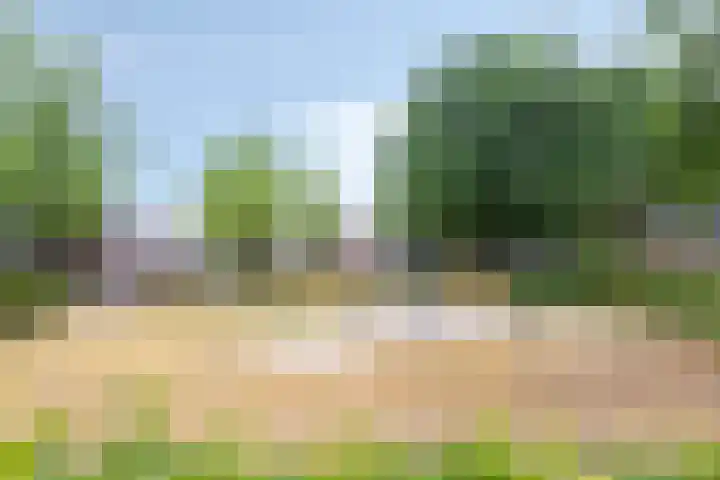 Scheerderhof 22 Helmond thumbnail 26