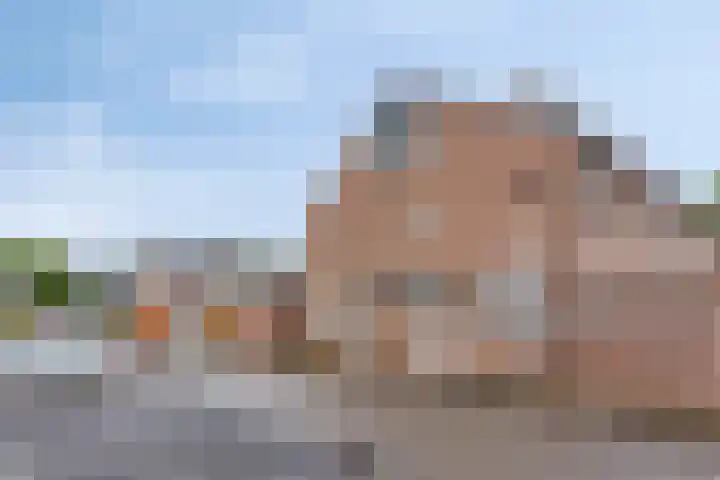 Scheerderhof 22 Helmond thumbnail 32