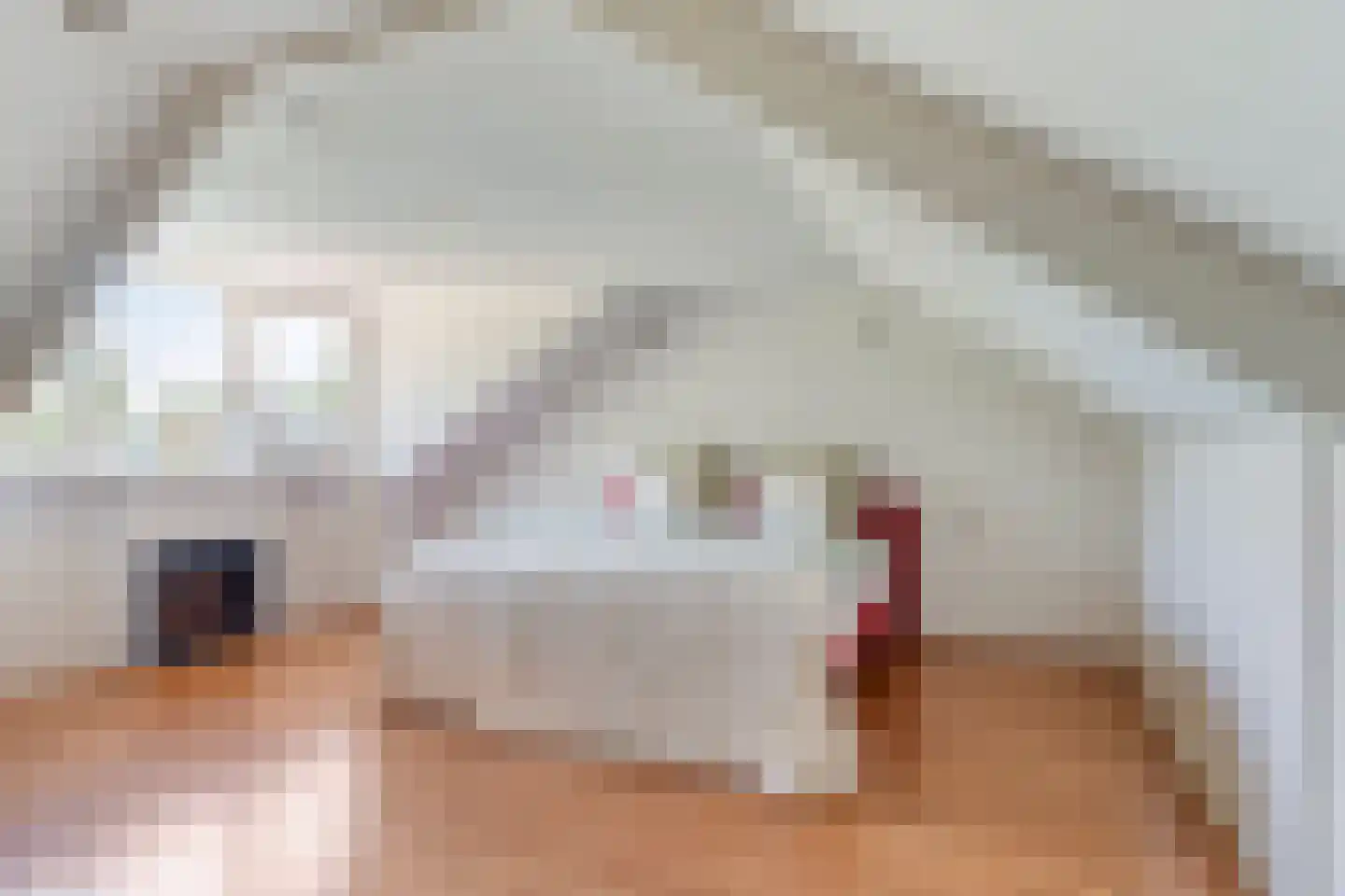 Scheerderhof 25 Helmond thumbnail 21