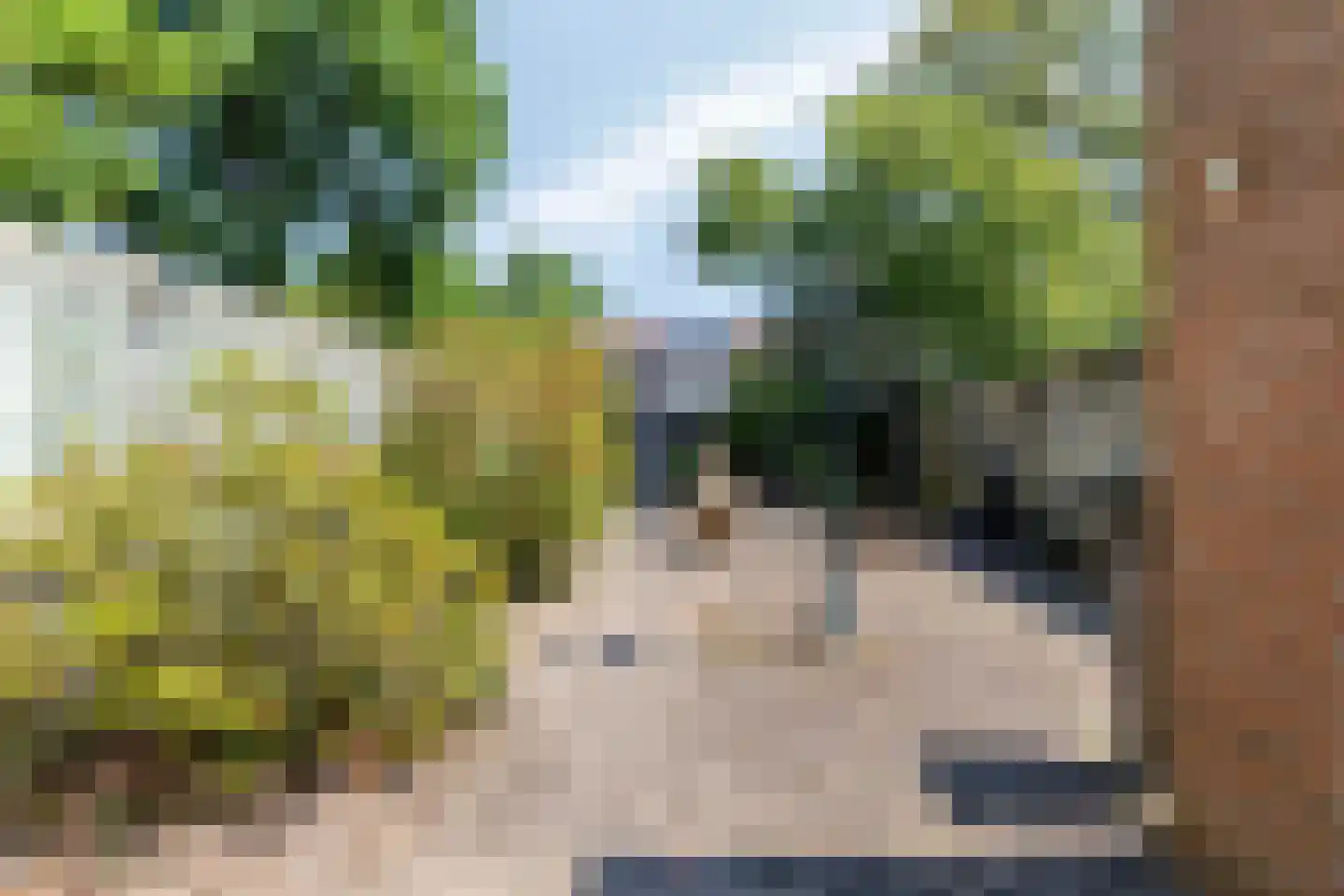 Scheerderhof 25 Helmond thumbnail 23