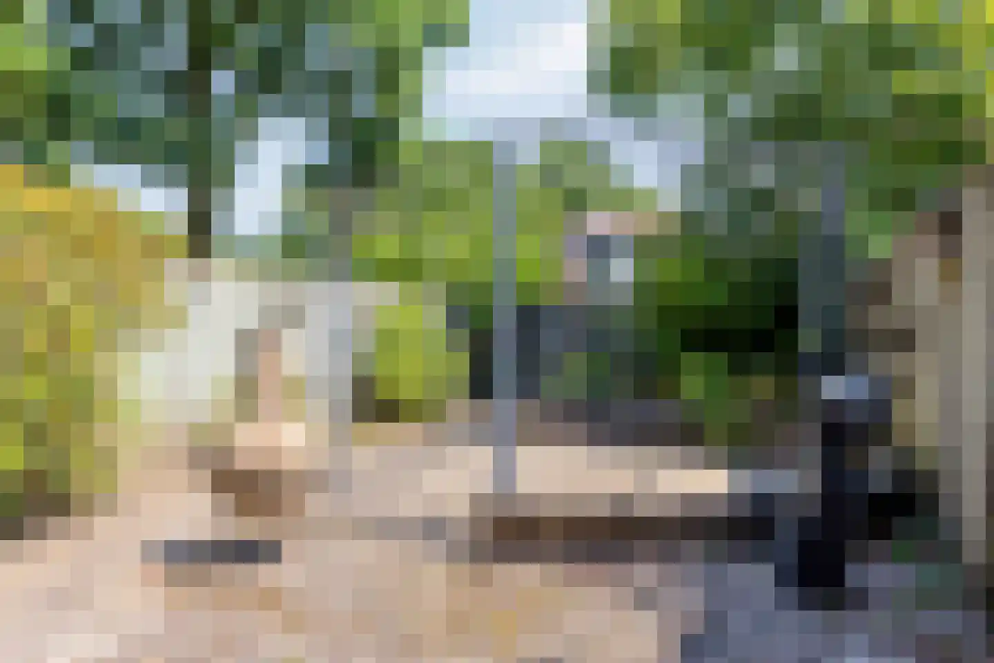 Scheerderhof 25 Helmond thumbnail 25