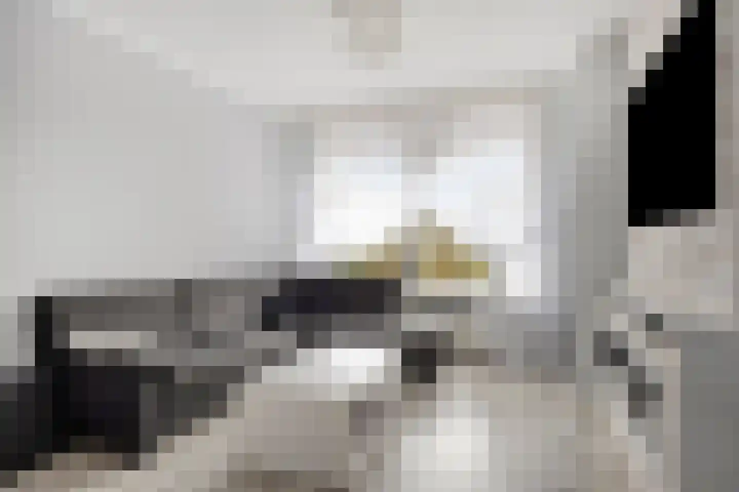 Scheerderhof 29 Helmond thumbnail 10