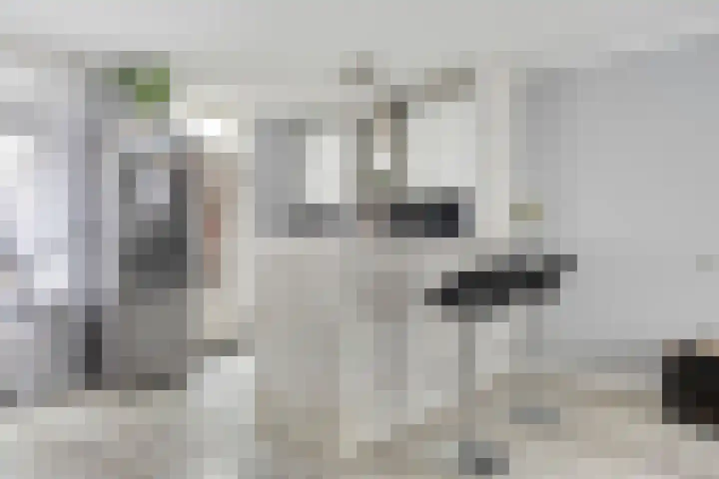Scheerderhof 29 Helmond thumbnail 11