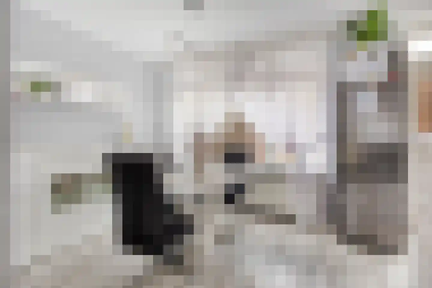 Scheerderhof 29 Helmond thumbnail 12