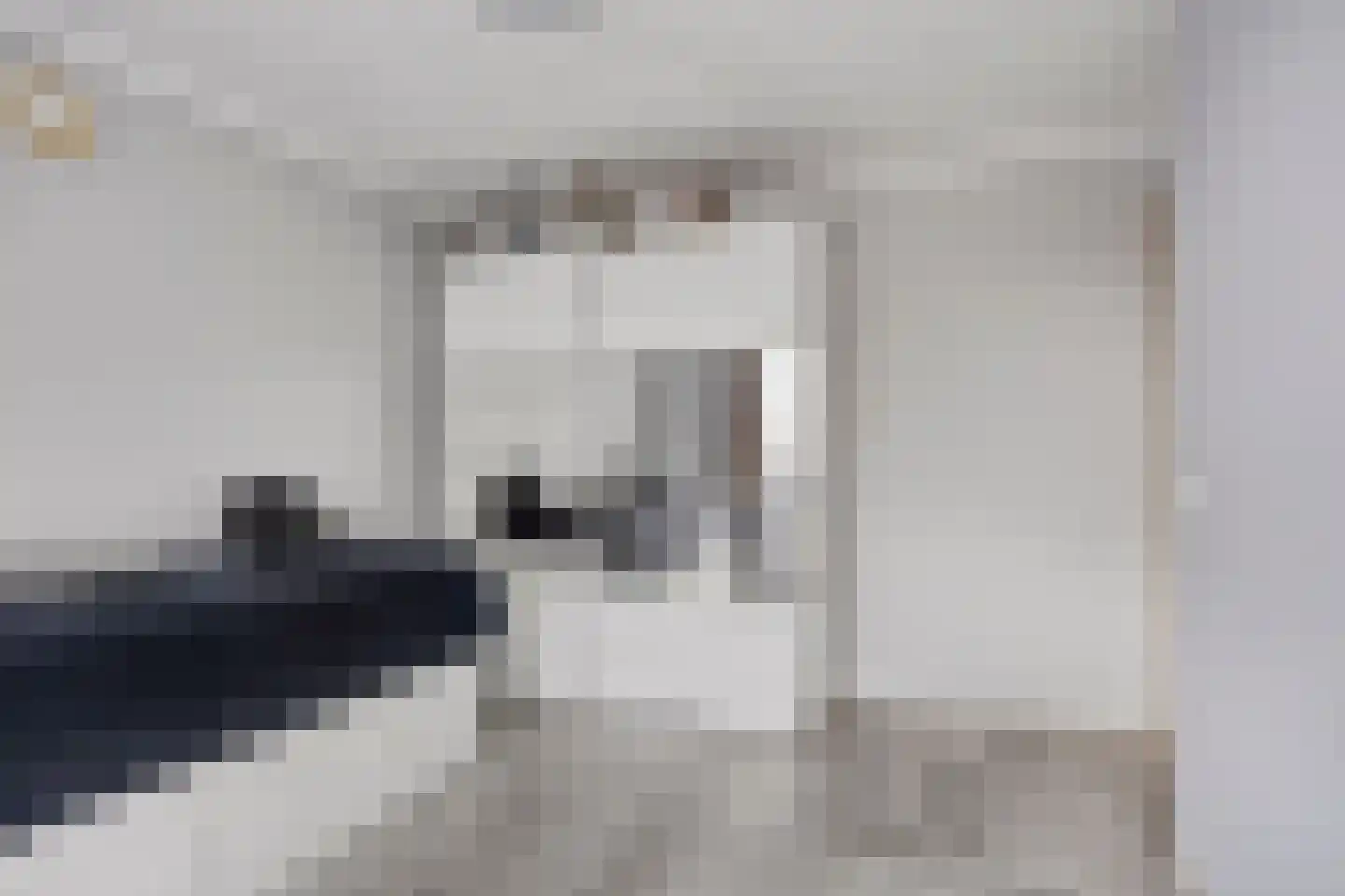 Scheerderhof 29 Helmond thumbnail 23