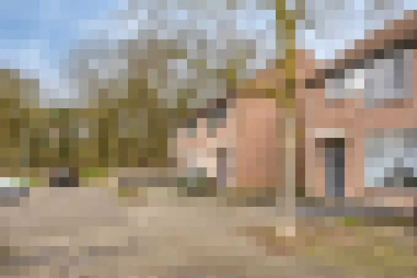 Scheerderhof 29 Helmond thumbnail 6