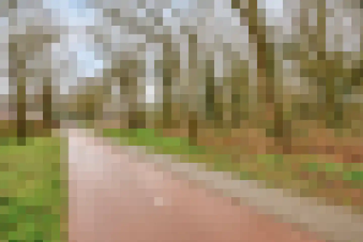 Scheerderhof 29 Helmond thumbnail 8