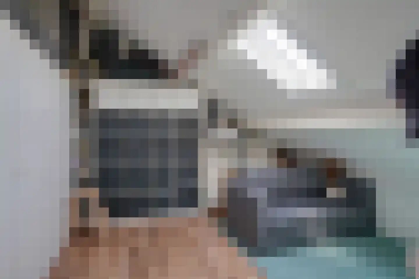 Scheerderhof 52 Helmond thumbnail 31