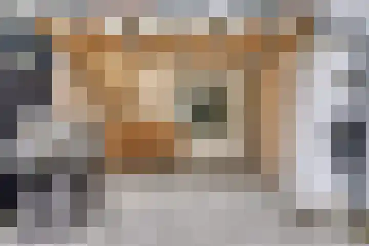 Scheerderhof 53 Helmond thumbnail 28