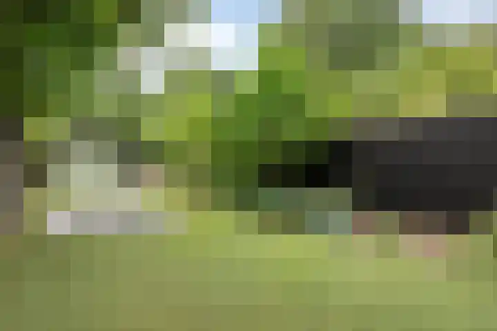 Scheerderhof 53 Helmond thumbnail 29