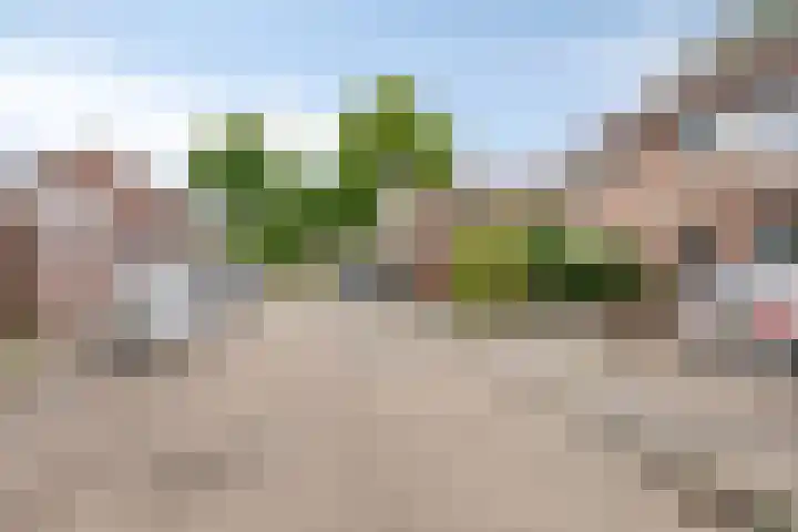 Scheerderhof 53 Helmond thumbnail 31