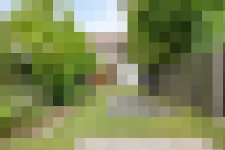 Scheerderhof 53 Helmond thumbnail 5