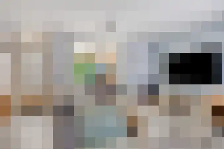 Scheerderhof 53 Helmond thumbnail 7