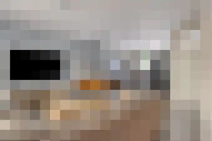 Scheerderhof 53 Helmond thumbnail 9