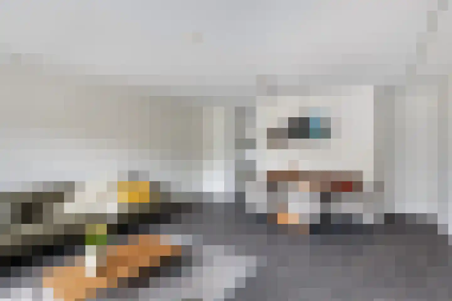 Scheerderij 114 Maassluis thumbnail 12