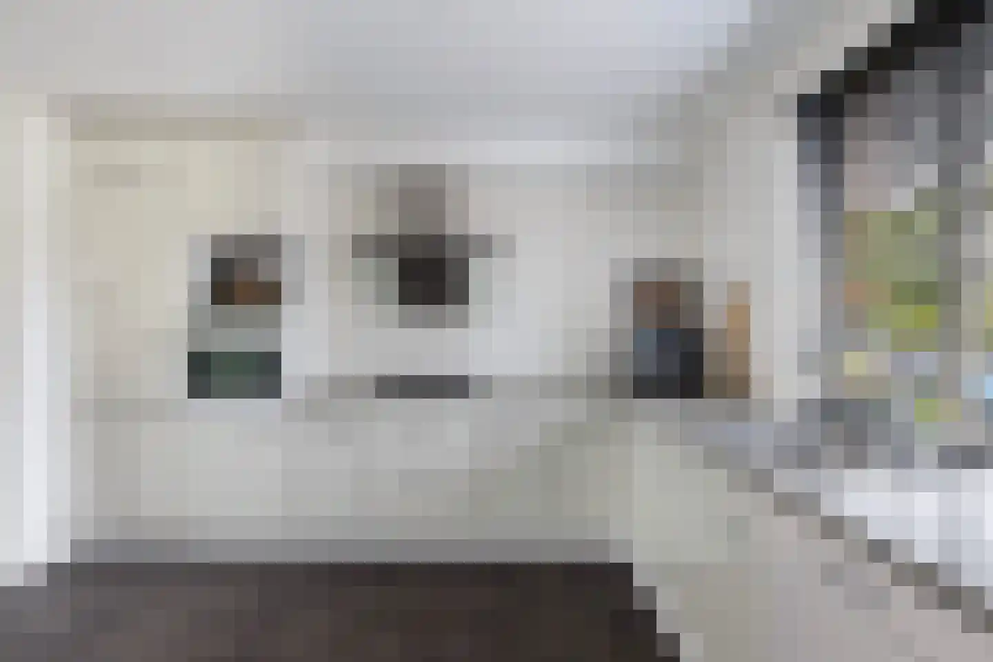 Scheerderij 114 Maassluis thumbnail 15