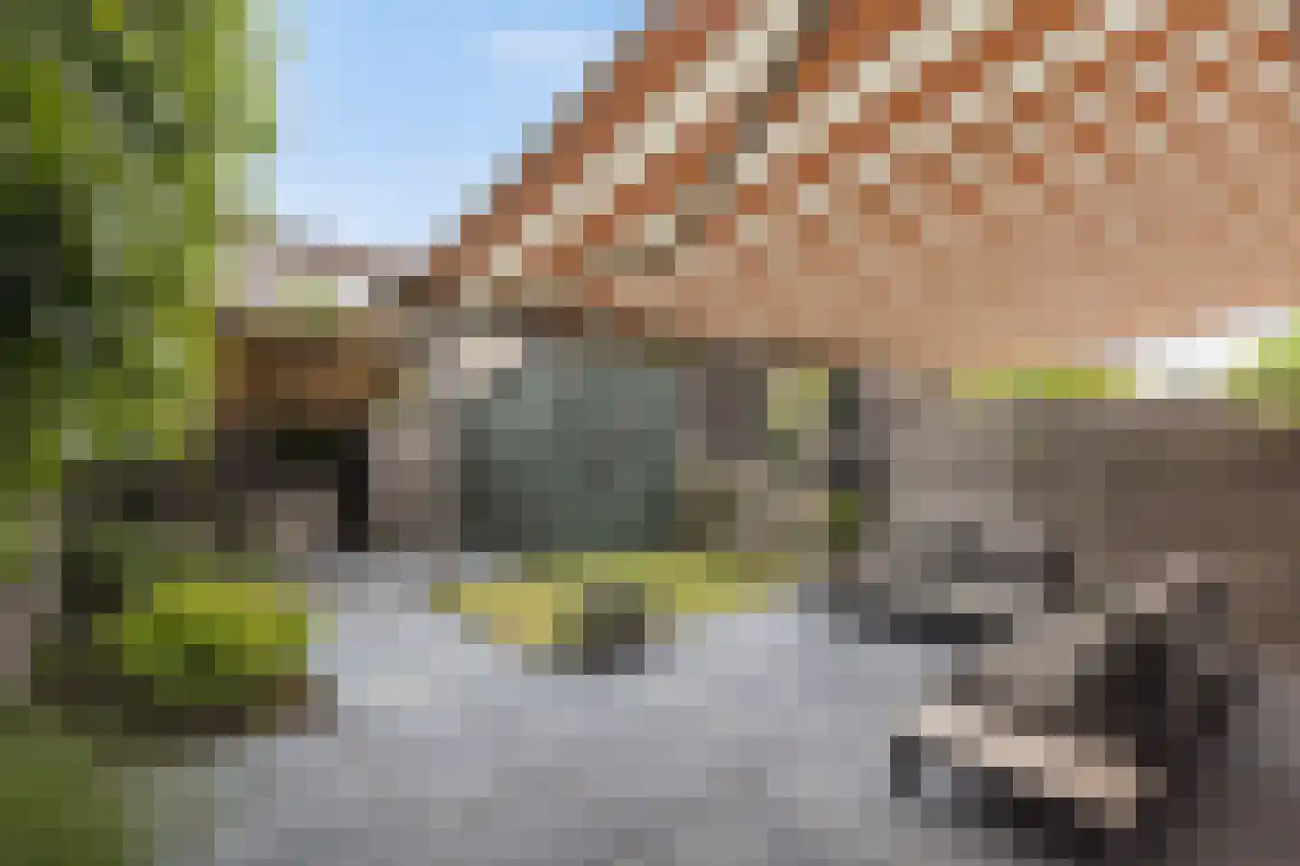 Scheerderij 114 Maassluis thumbnail 21