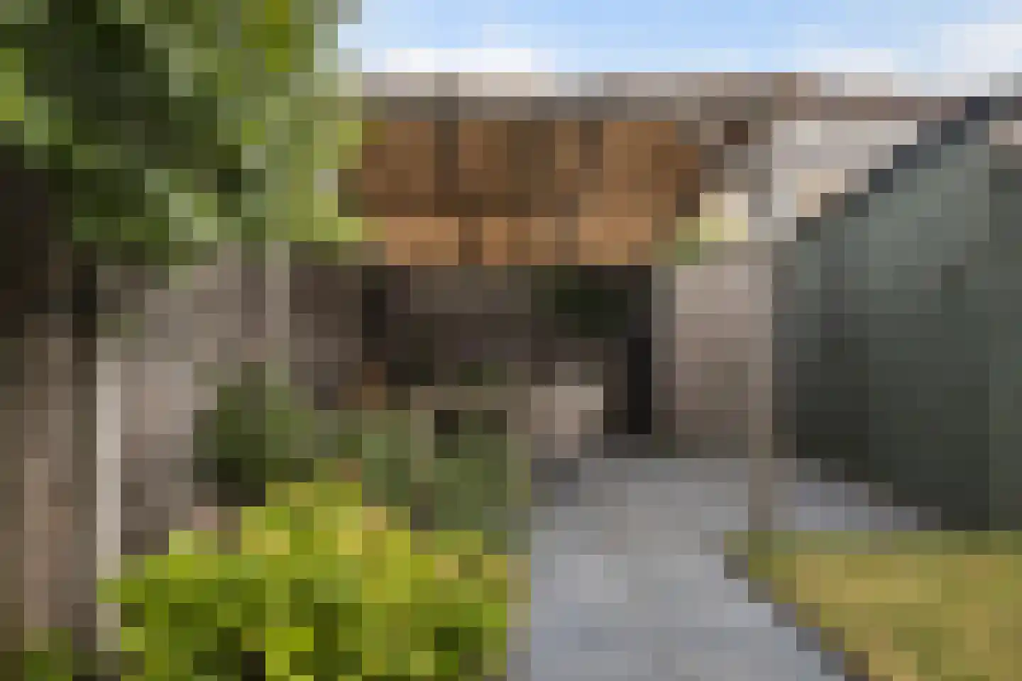Scheerderij 114 Maassluis thumbnail 24