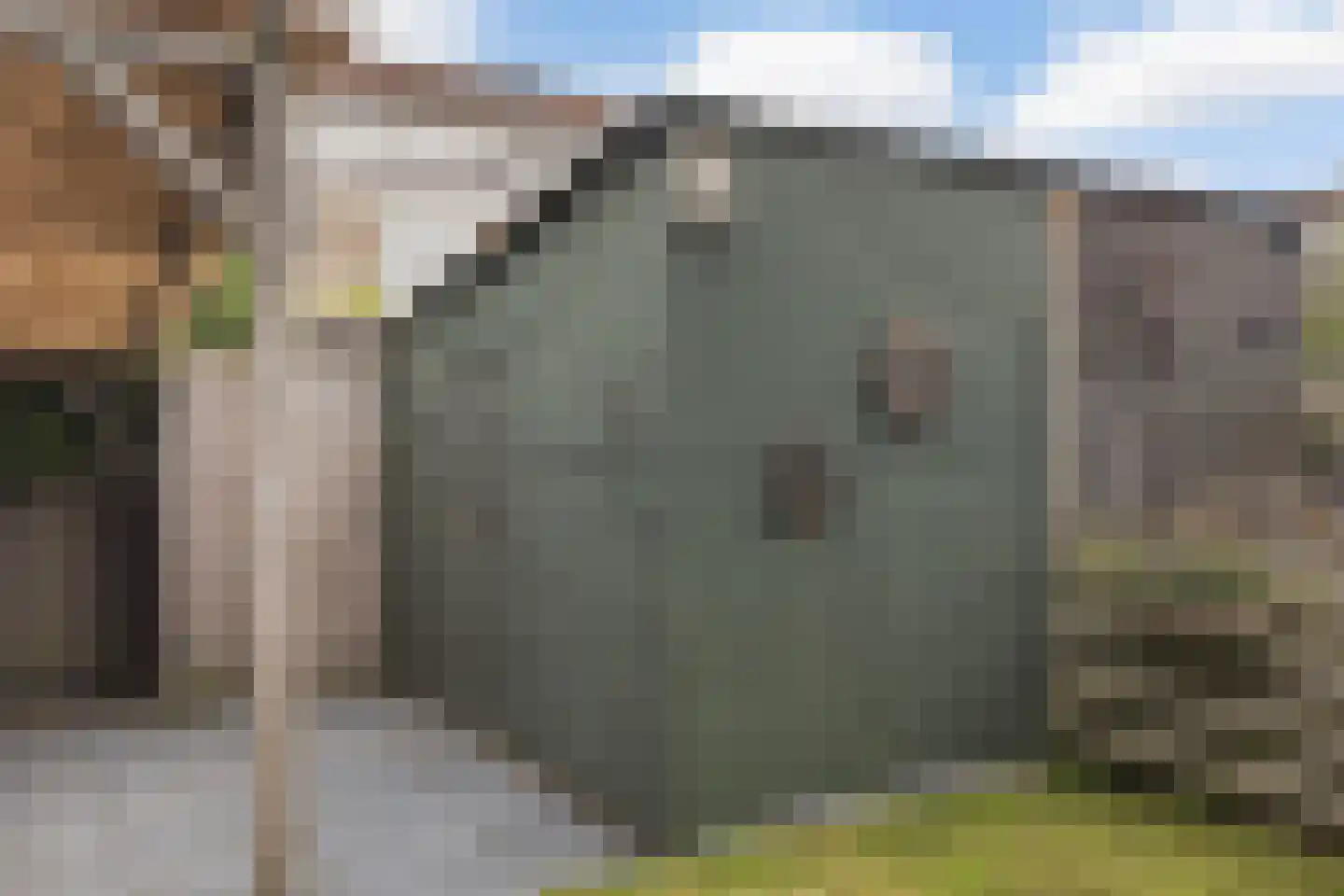 Scheerderij 114 Maassluis thumbnail 25