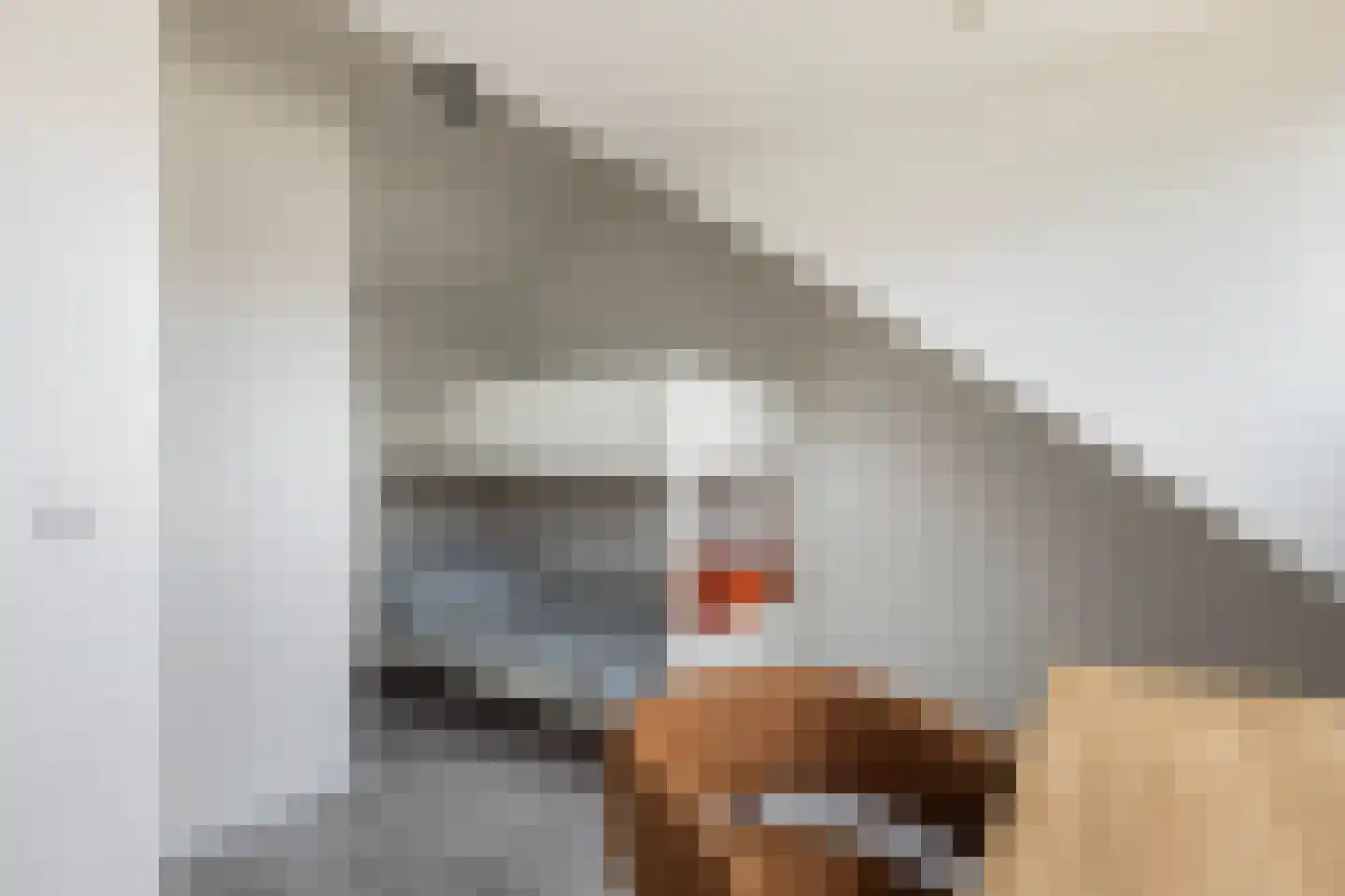 Scheerderij 114 Maassluis thumbnail 39