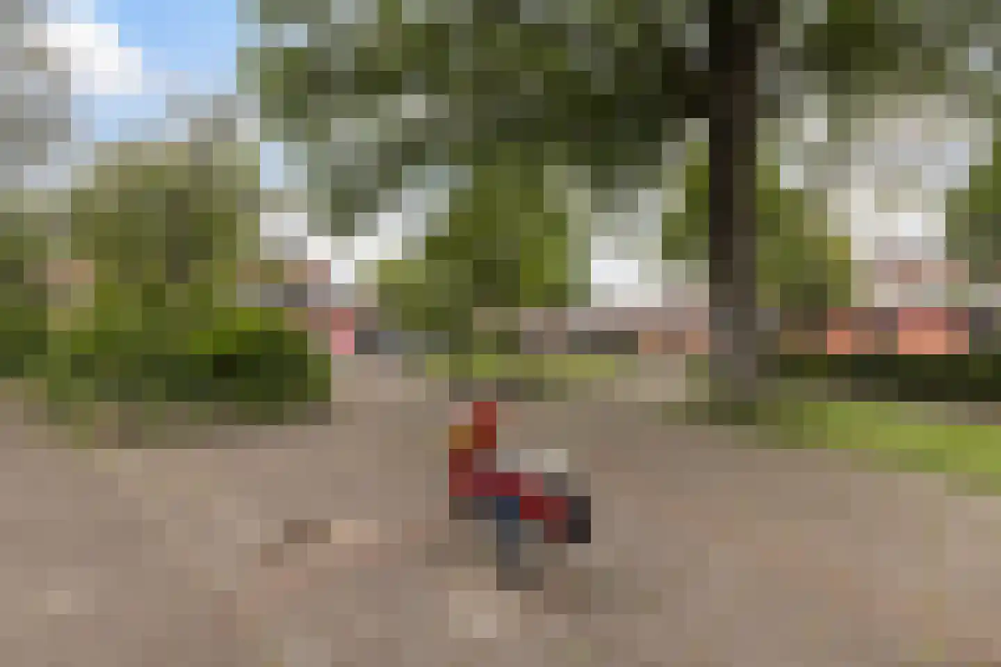 Scheerderij 114 Maassluis thumbnail 41
