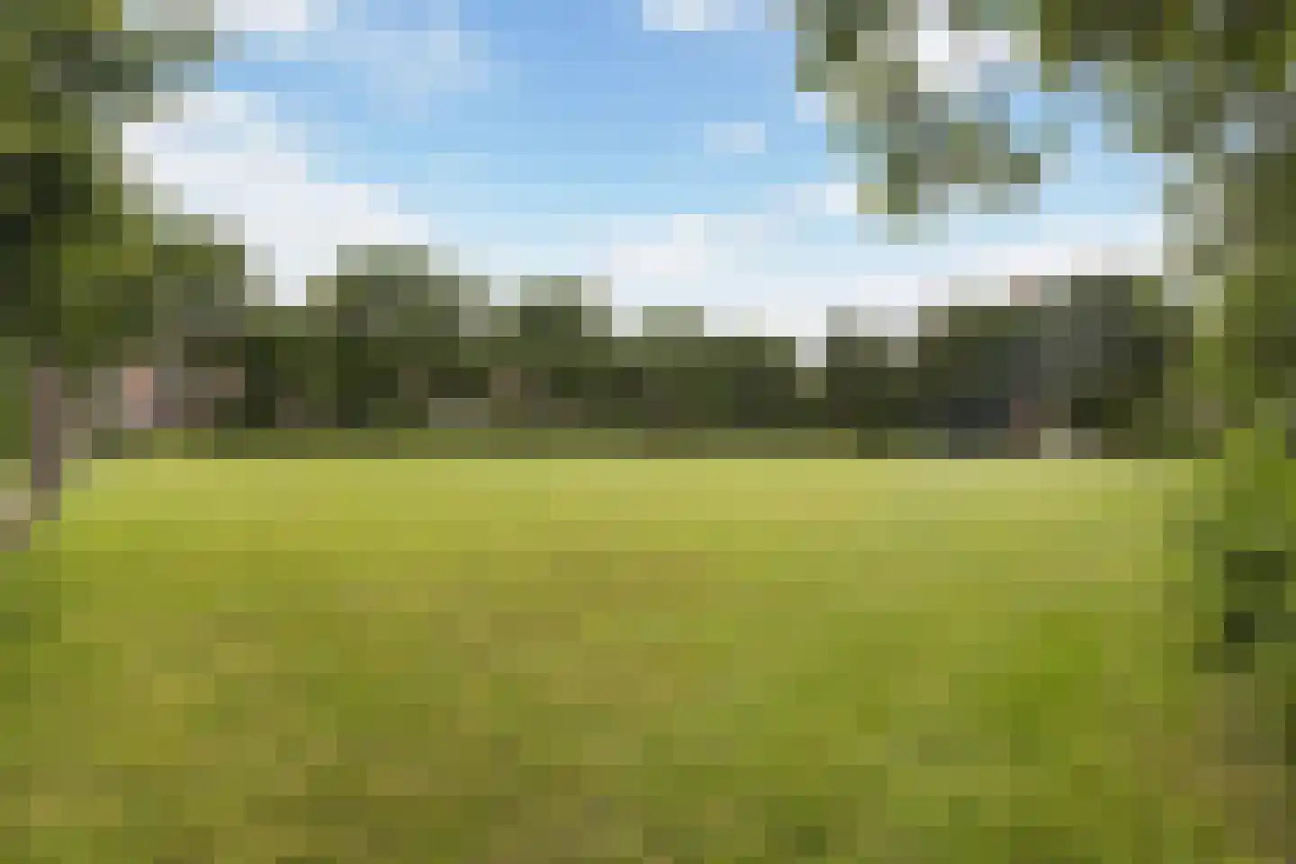 Scheerderij 114 Maassluis thumbnail 42