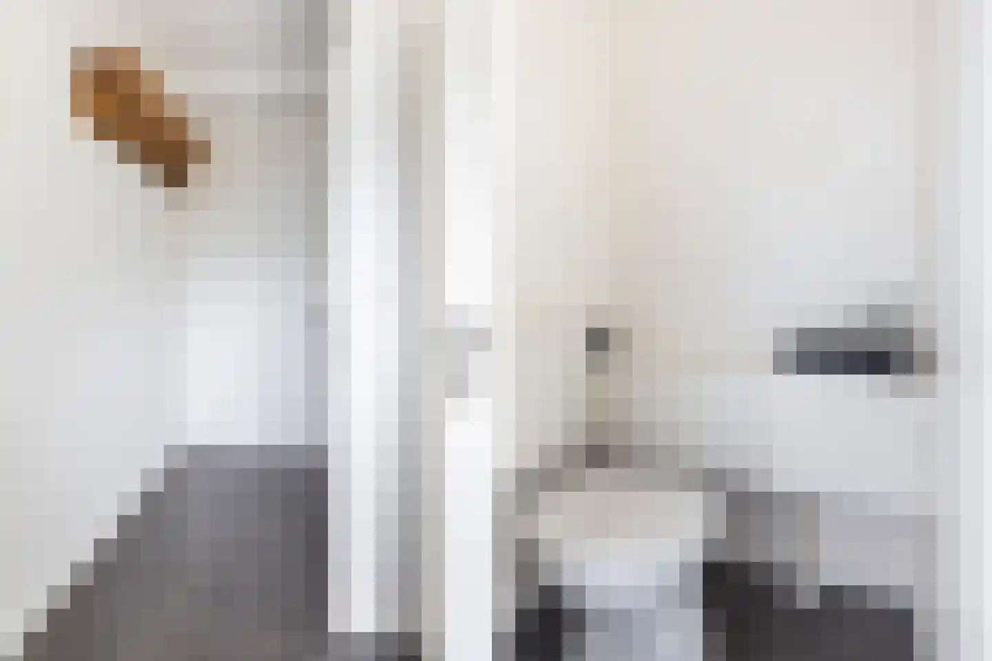 Scheerderij 114 Maassluis thumbnail 8