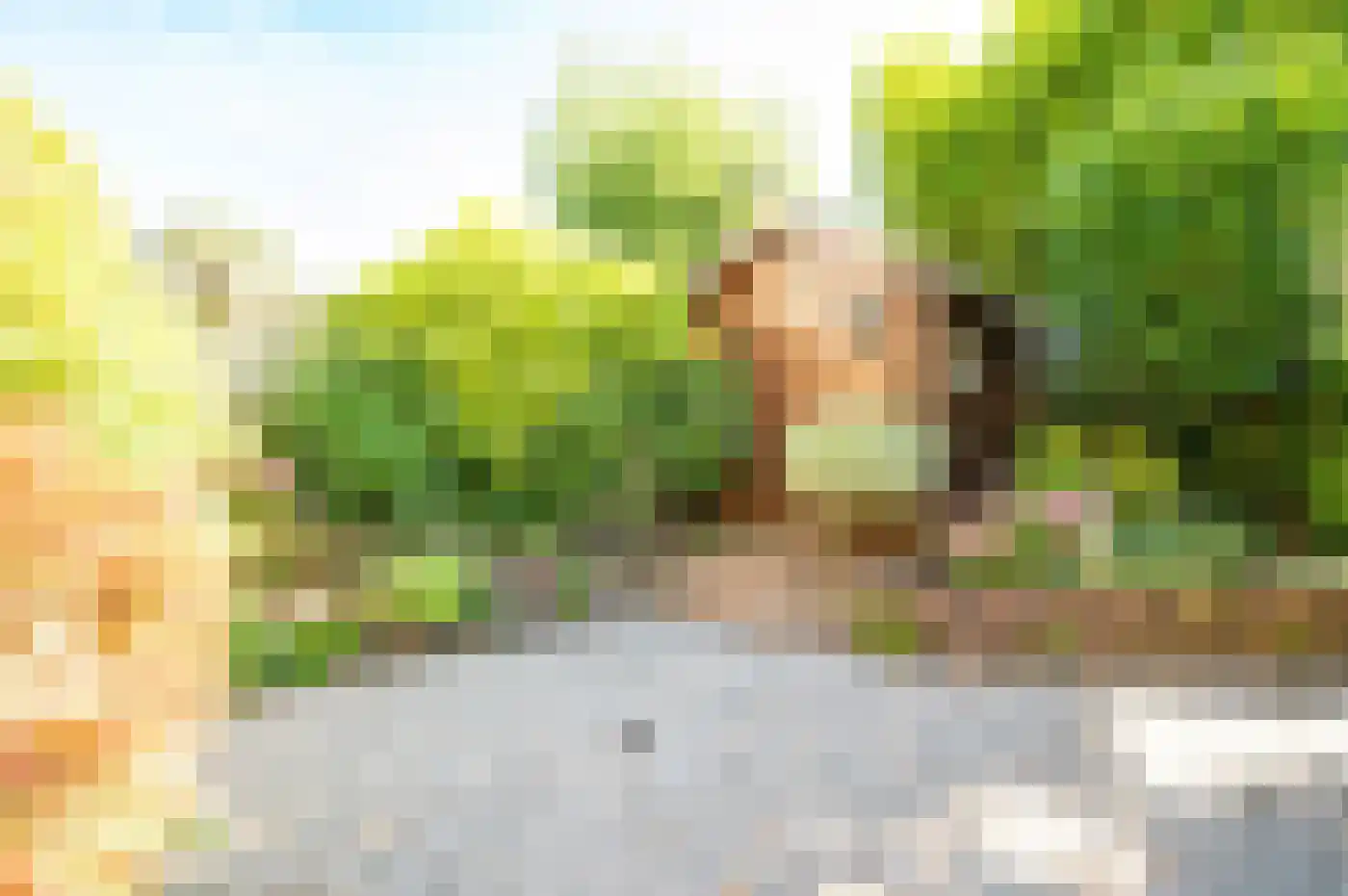 Scheerdersdonk 217 Apeldoorn thumbnail 17