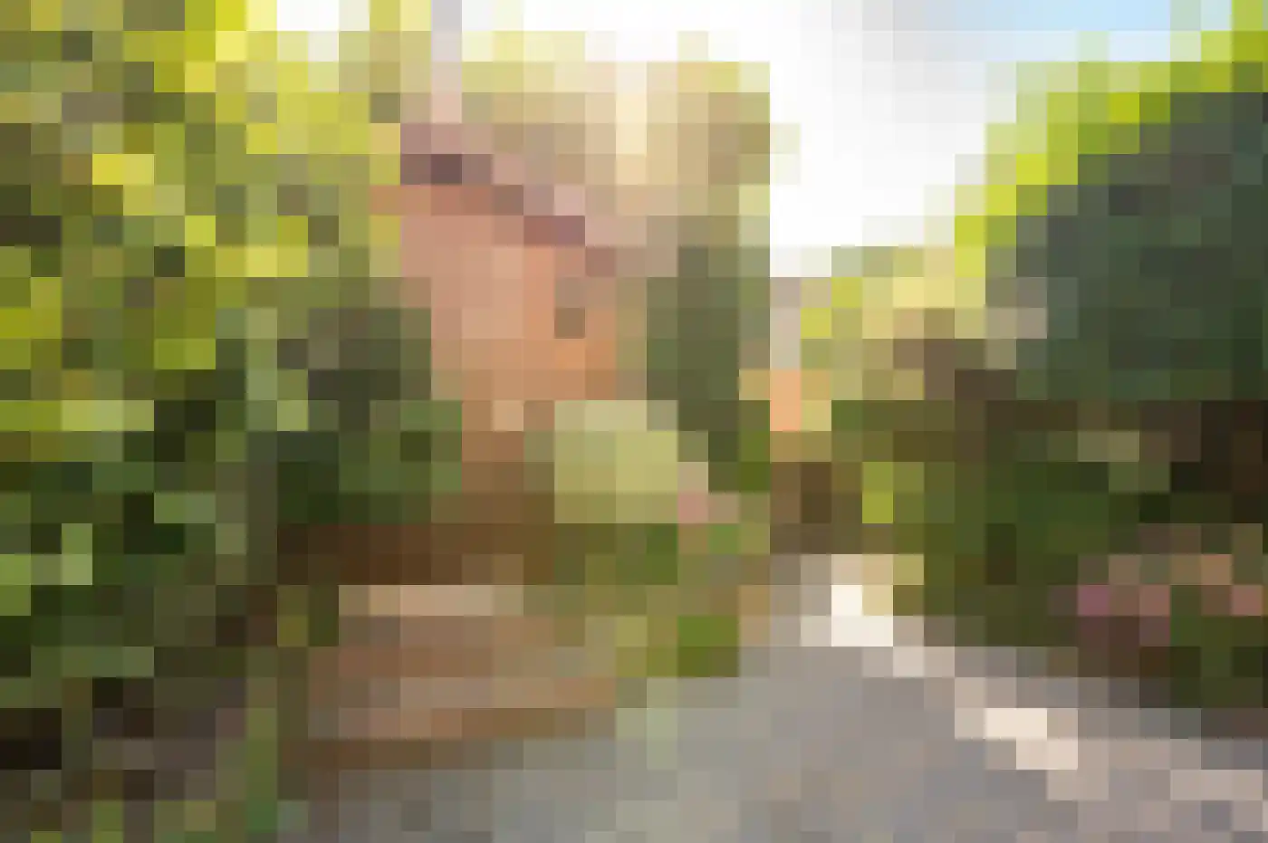 Scheerdersdonk 217 Apeldoorn thumbnail 18