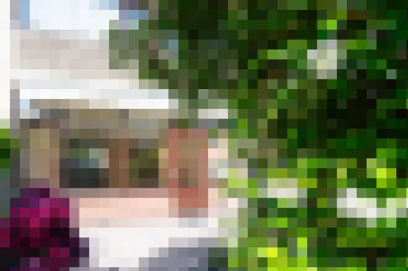 Scheerdersdonk 217 Apeldoorn thumbnail 21