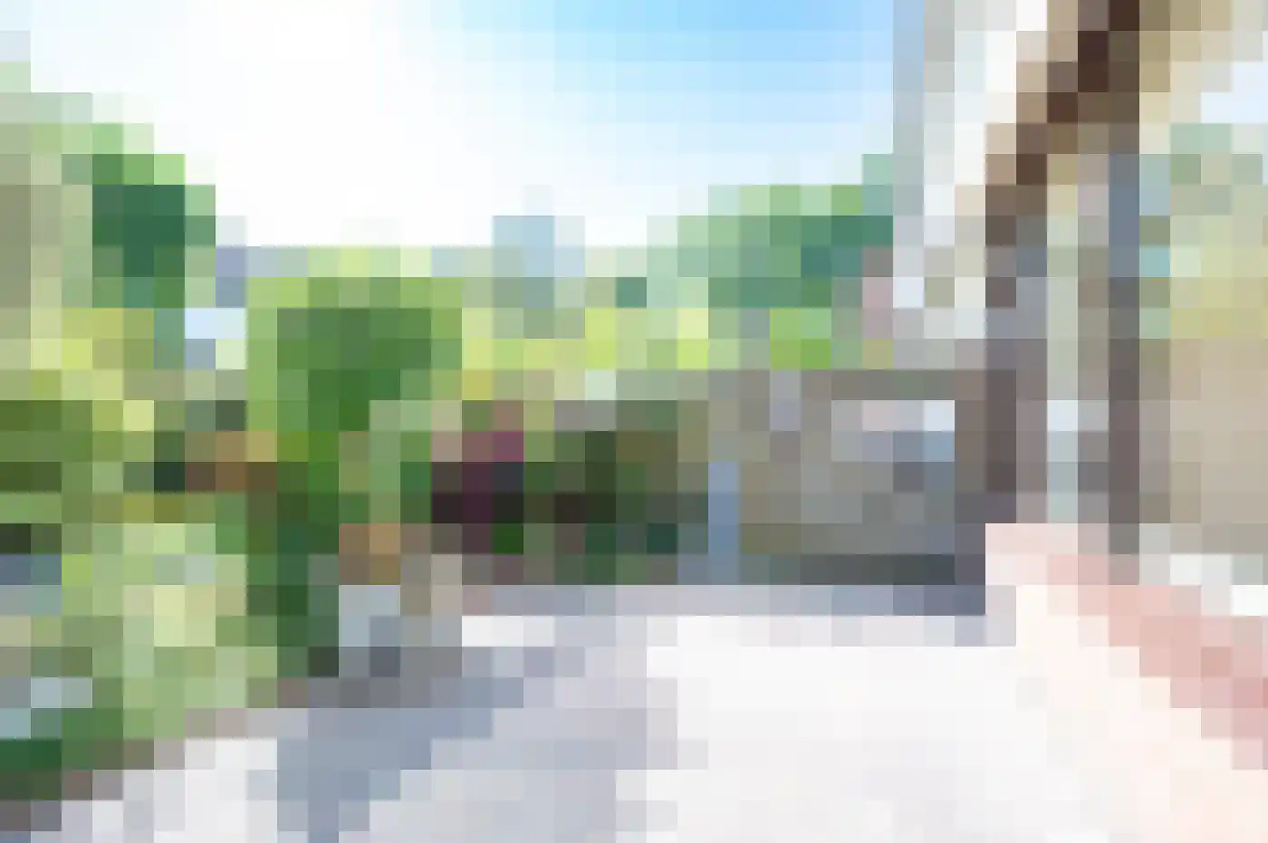 Scheerdersdonk 217 Apeldoorn thumbnail 23
