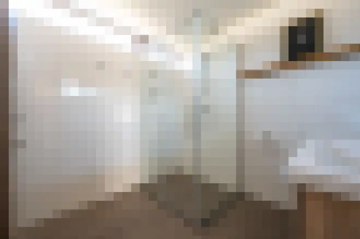 Scheerdersdonk 217 Apeldoorn thumbnail 28
