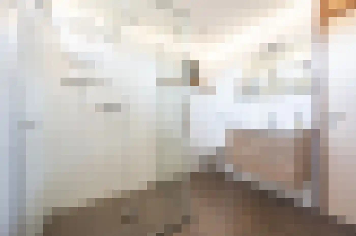 Scheerdersdonk 217 Apeldoorn thumbnail 30