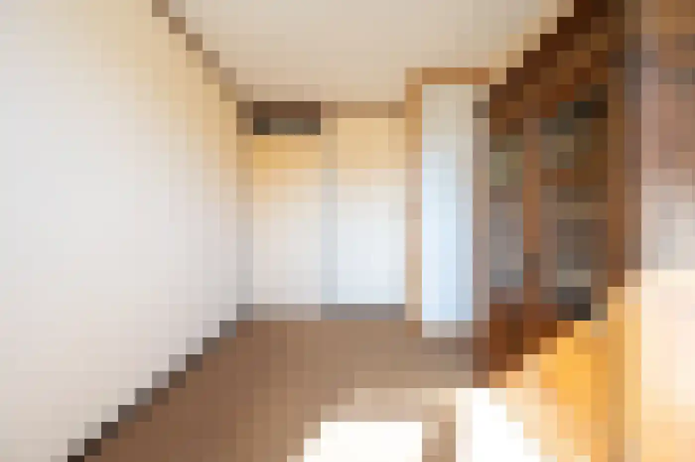 Scheerdersdonk 217 Apeldoorn thumbnail 36