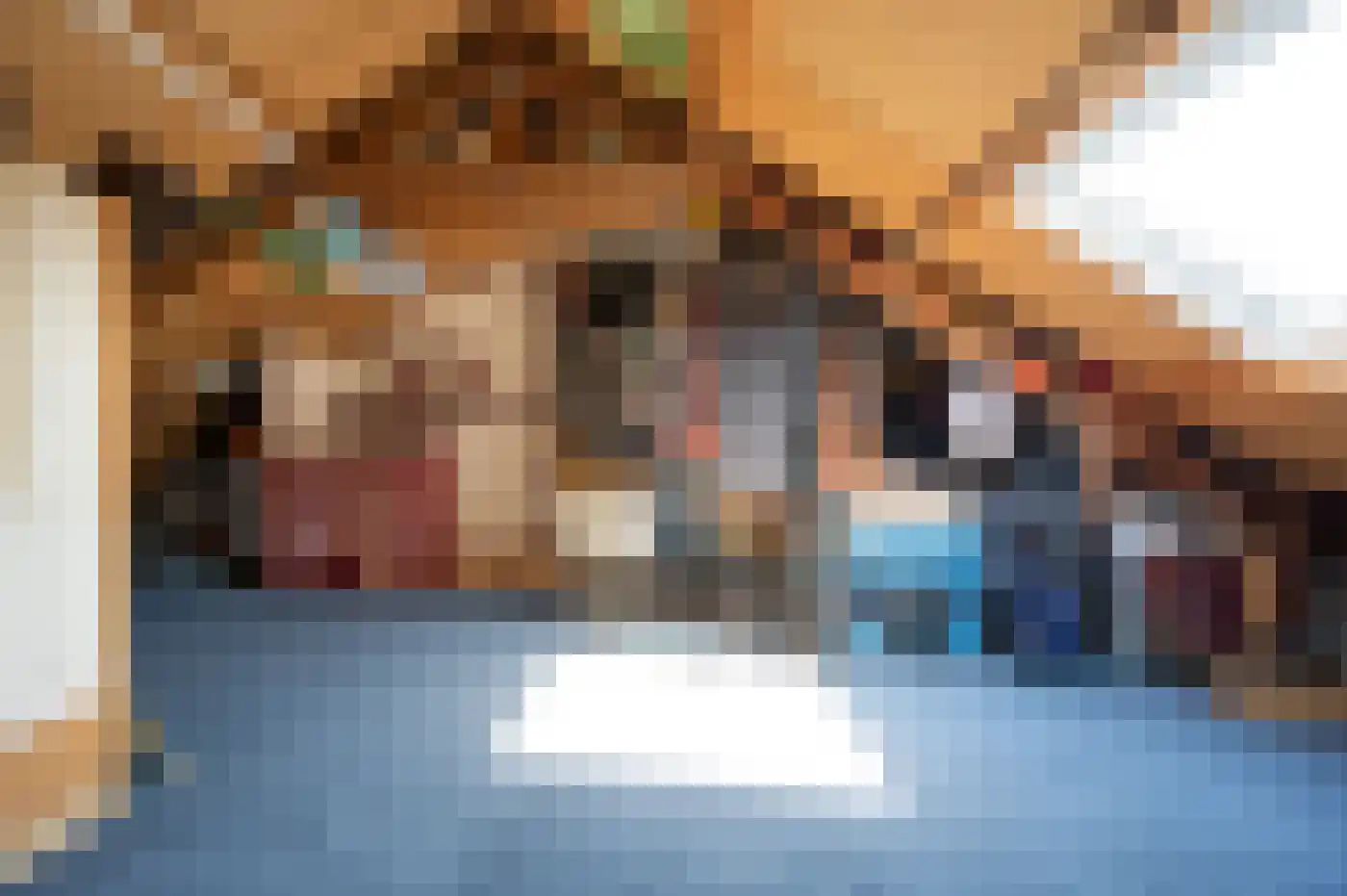 Scheerdersdonk 217 Apeldoorn thumbnail 40