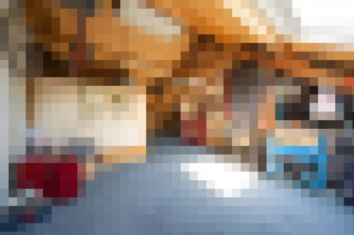 Scheerdersdonk 217 Apeldoorn thumbnail 41