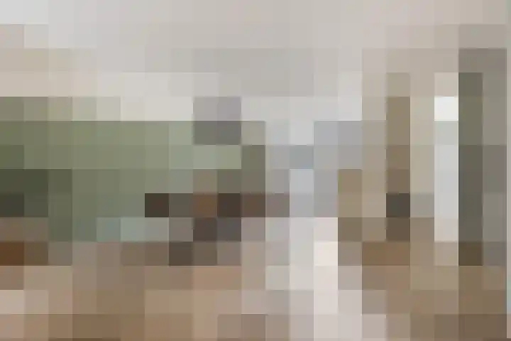 Scheerdersdonk 219 Apeldoorn thumbnail 10