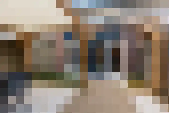 Scheerdersdonk 219 Apeldoorn thumbnail 13