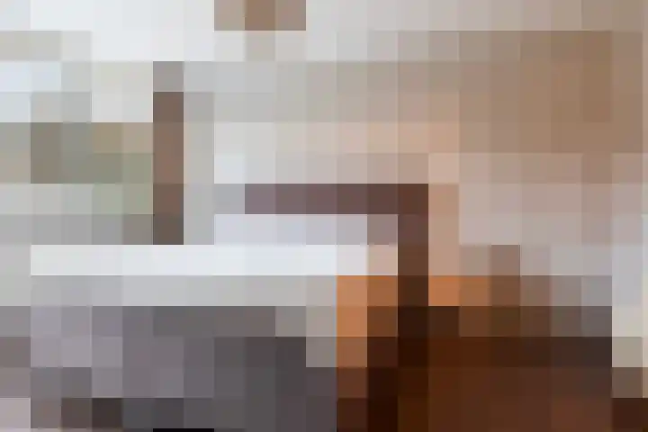 Scheerdersdonk 219 Apeldoorn thumbnail 20