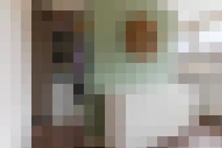 Scheerdersdonk 219 Apeldoorn thumbnail 21