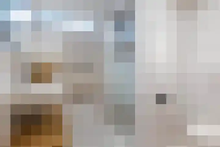 Scheerdersdonk 219 Apeldoorn thumbnail 24