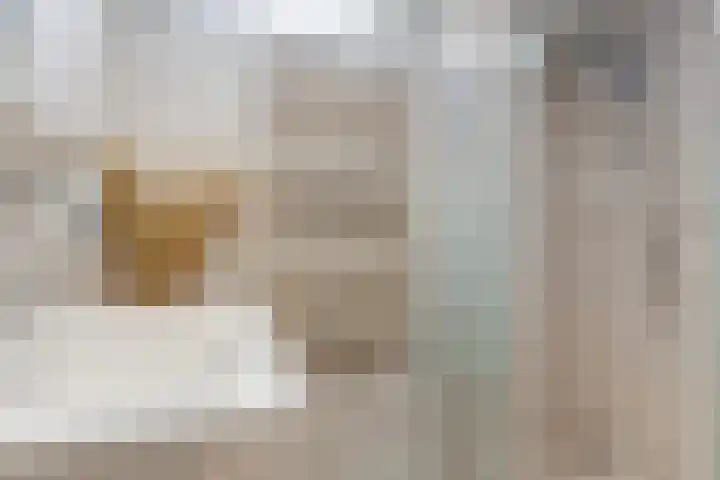 Scheerdersdonk 219 Apeldoorn thumbnail 26