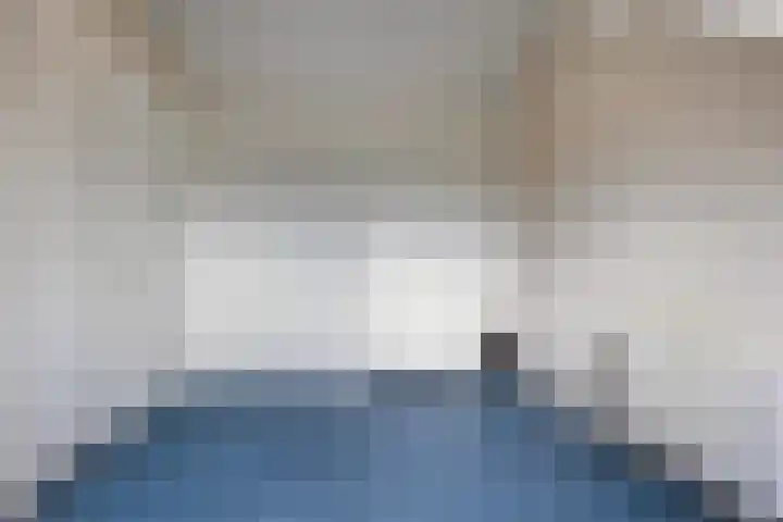 Scheerdersdonk 219 Apeldoorn thumbnail 30