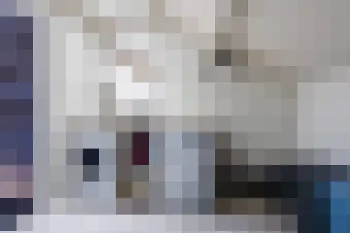 Scheerdersdonk 219 Apeldoorn thumbnail 31