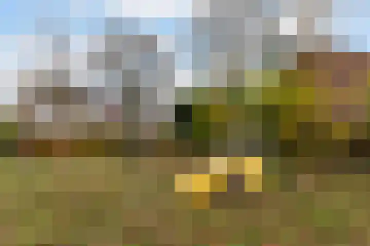 Scheerdersdonk 219 Apeldoorn thumbnail 33