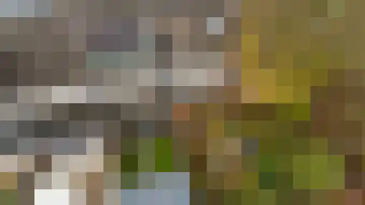 Scheerdersdonk 219 Apeldoorn thumbnail 35